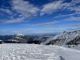 IMG_7581.HEIC