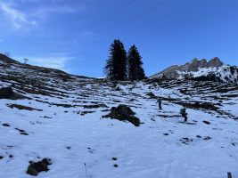 IMG_7593.HEIC