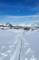 Ein Prachtstag bahnt sich an!
