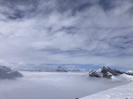 Unten sehr dick grau!