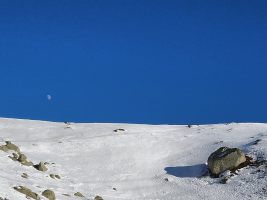 Launiger Empfang im Aufstieg in Richtung Caschlé