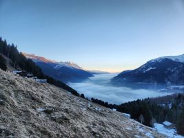 Durchs Rheintal kommt eine Nebelschlange hochgekrochen