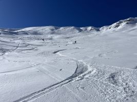 Im Eldorado des weissen Golds!