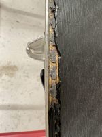 Folgeschäden der dünnen Schneedecke