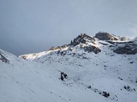 Ruft nach viel Vorsicht beim fahren.