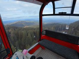 Eine halbe Stunde Bähnli fahren durch den Chrienser Hohwald im Bahnland Schweiz