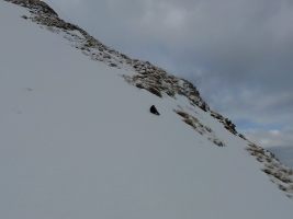 Wenn die Touristen ausbleiben