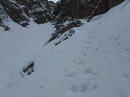 Vor der ersten Querung zweigt die anspruchsvolle direkte Variante links ab