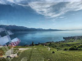 LA vue du Lavaux sur le Léman!