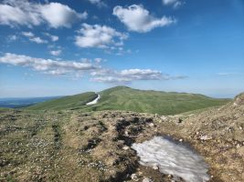 Weisse Flecken in weiter Landschaft