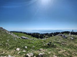 Neuer Tag selber Blick