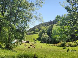 Der Skilift von Saint-Cergue