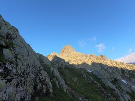 Leidseepass