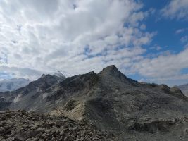 Steinreiche Landschaft