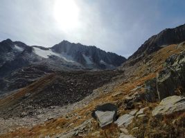 Hinten Gletscher und Moränen, vorne Weidelandschaft