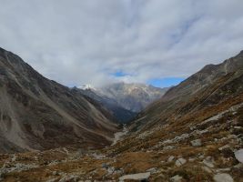 Herbstliche Almagelleralp